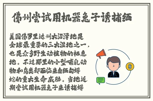 小草免费高清视频在线观看